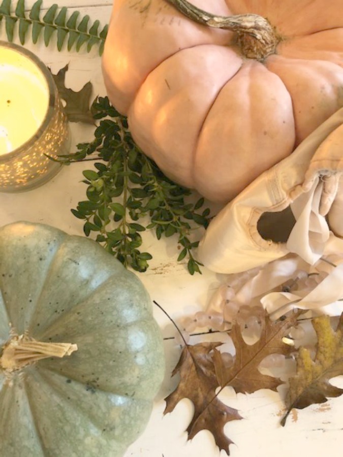 serene fall color palette decor