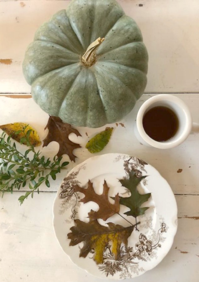 serene fall color palette decor