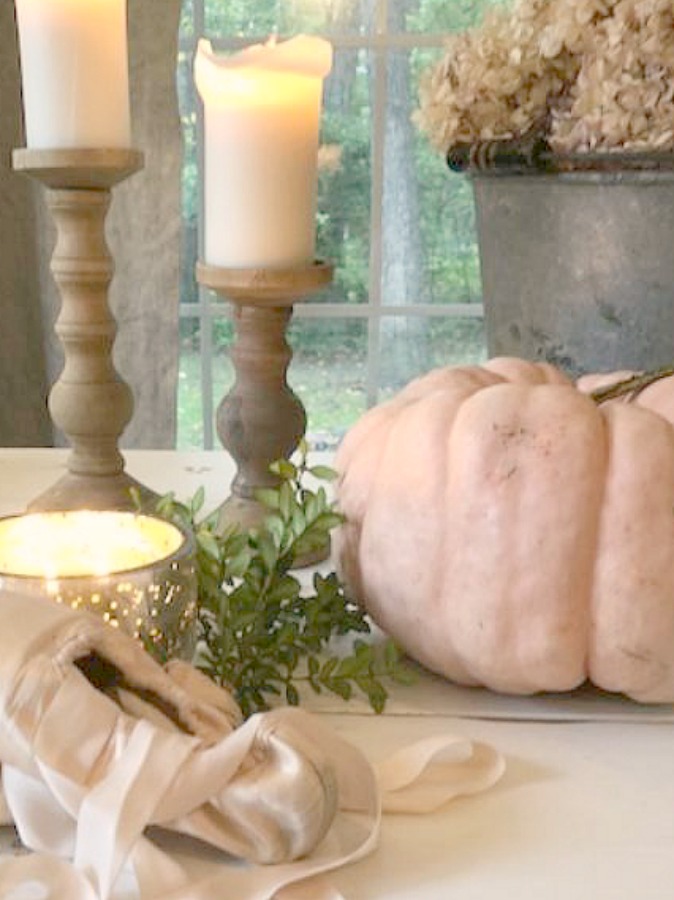 serene fall color palette decor