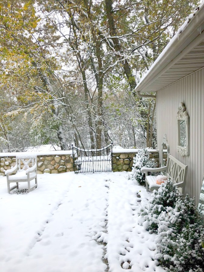 Snowy trees in my winter yard in Northern Illinois - Hello Lovely Studio.