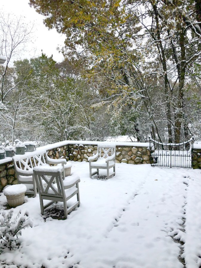 Snowy trees in my winter yard in Northern Illinois - Hello Lovely Studio.