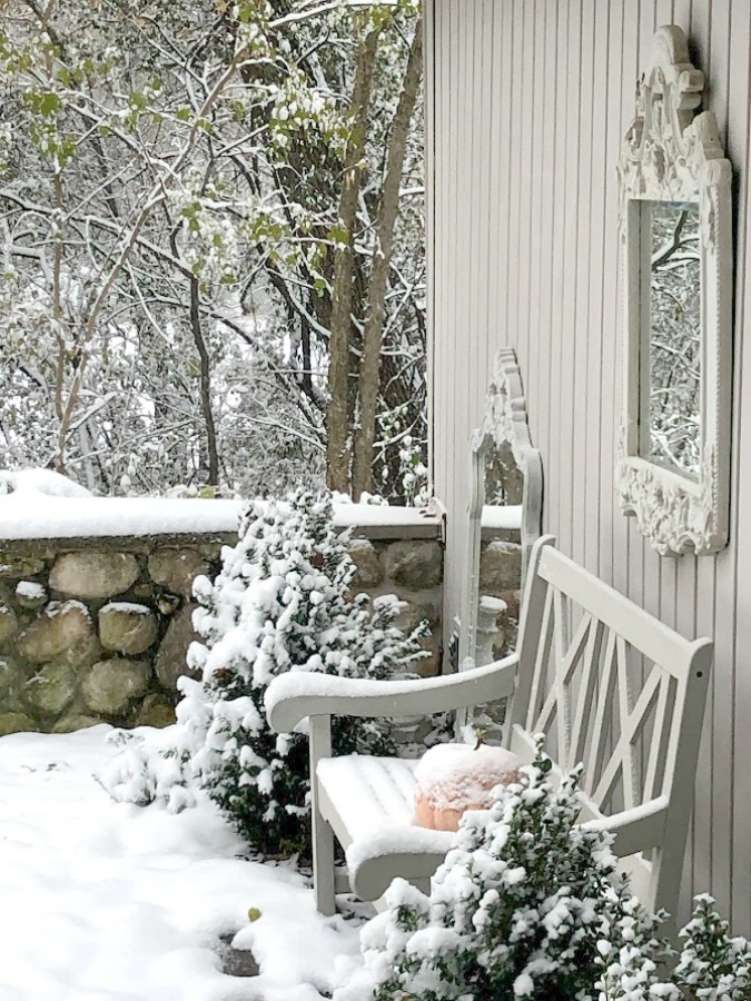 Snowy trees in my winter yard in Northern Illinois - Hello Lovely Studio.