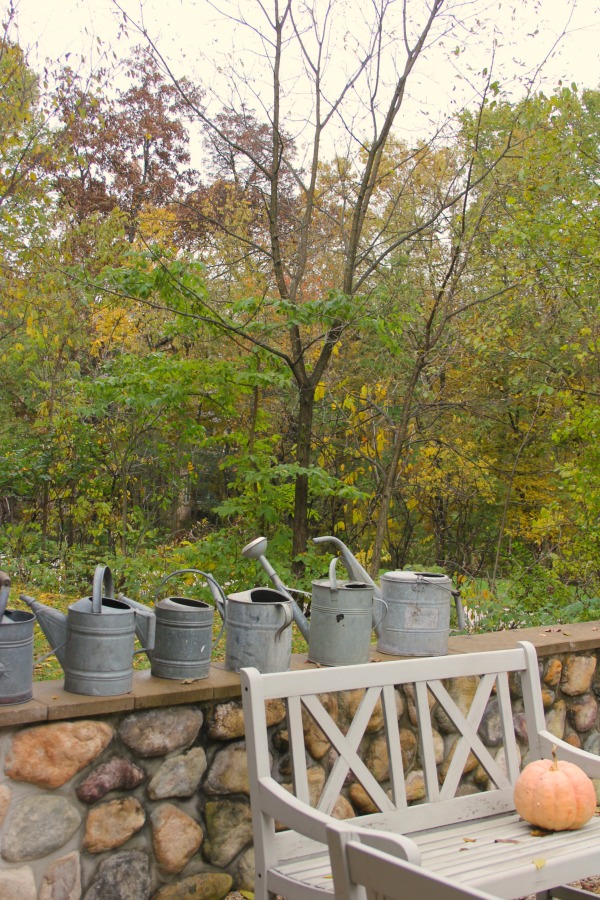 Fallen leaves, autumn trees, and turning colors in my Northern Illinois yard - Hello Lovely Studio.