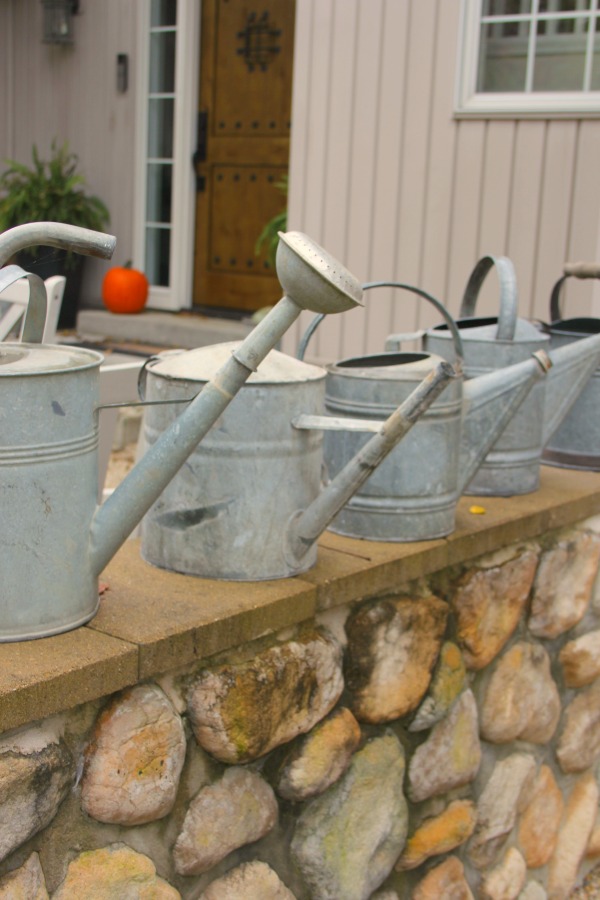 Vintage metal watering cans lined up on the stone wall of our French inspired courtyard - Hello Lovely Studio.