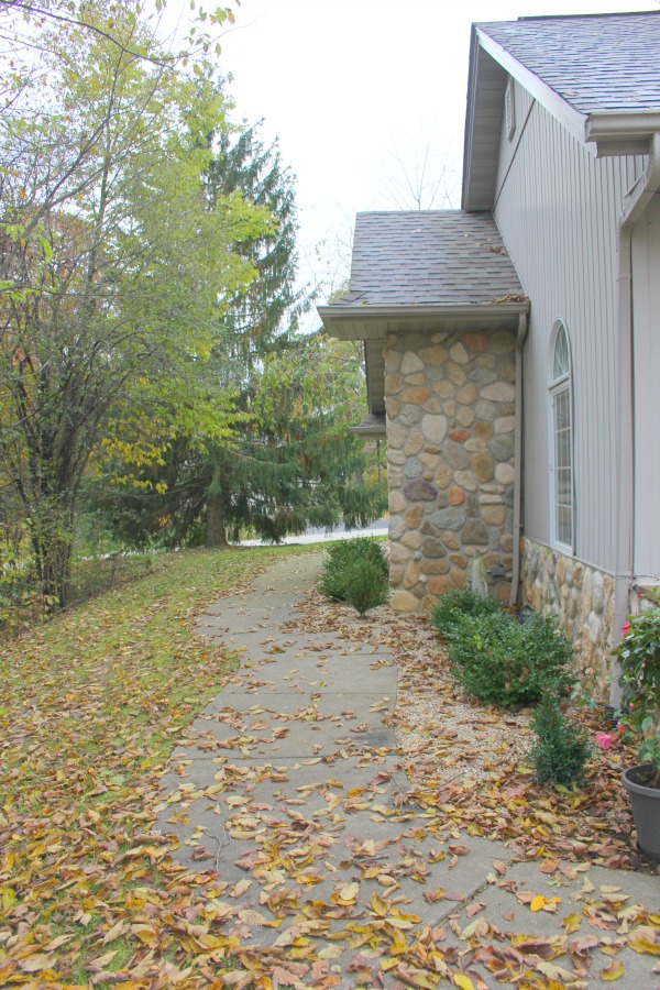 Fallen leaves, autumn trees, and turning colors in my Northern Illinois yard - Hello Lovely Studio.