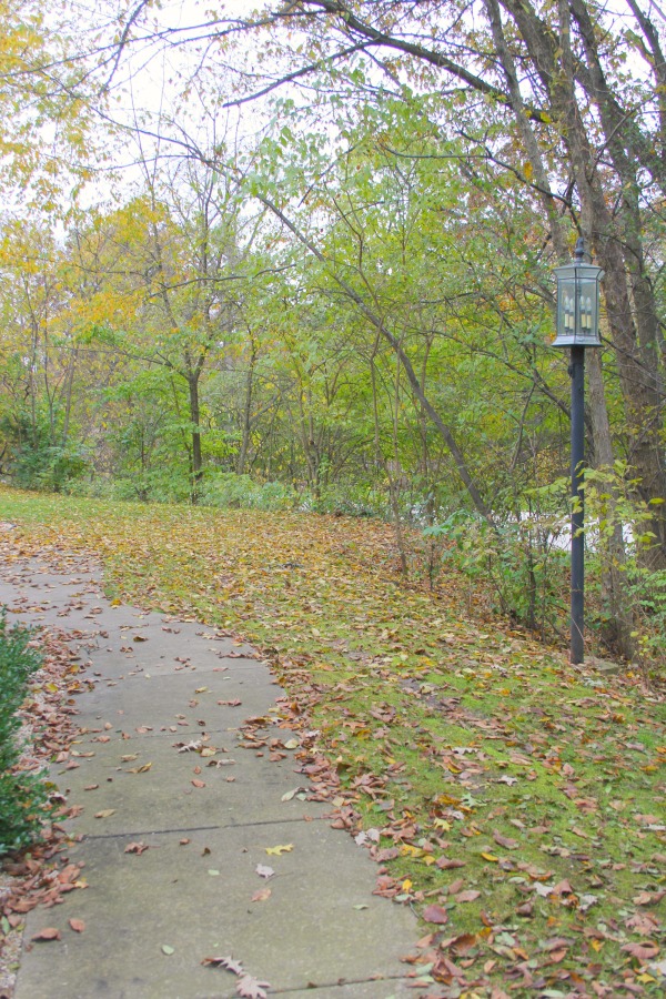 Fallen leaves, autumn trees, and turning colors in my Northern Illinois yard - Hello Lovely Studio.