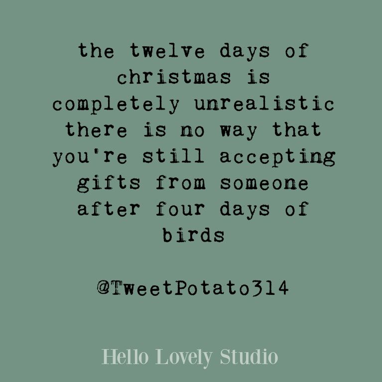 Funny Christmas quote on Hello Lovely Studio. #christmashumor #holidayquote #funnyquotes #humorquotes