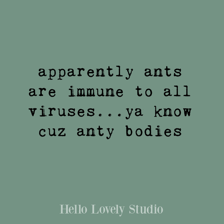 Funny quote and life humor on Hello Lovely Studio. #funnyquotes #humorquote #sillyquotes