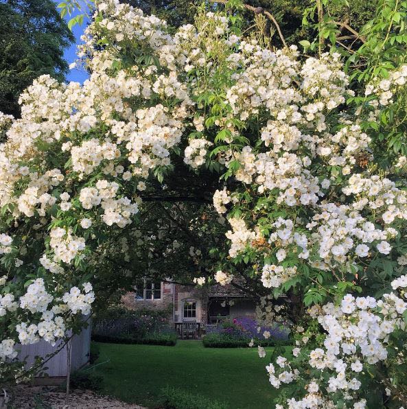 English country cottage exterior and gardens at the Hatch near London (Beach Studios). #cottageexterior #cottagegarden