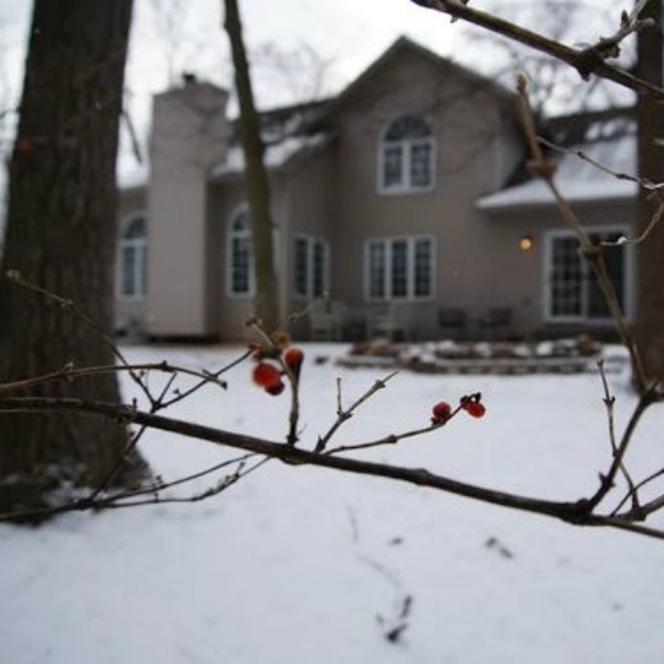 Our backyard in winter - Hello Lovely Studio.