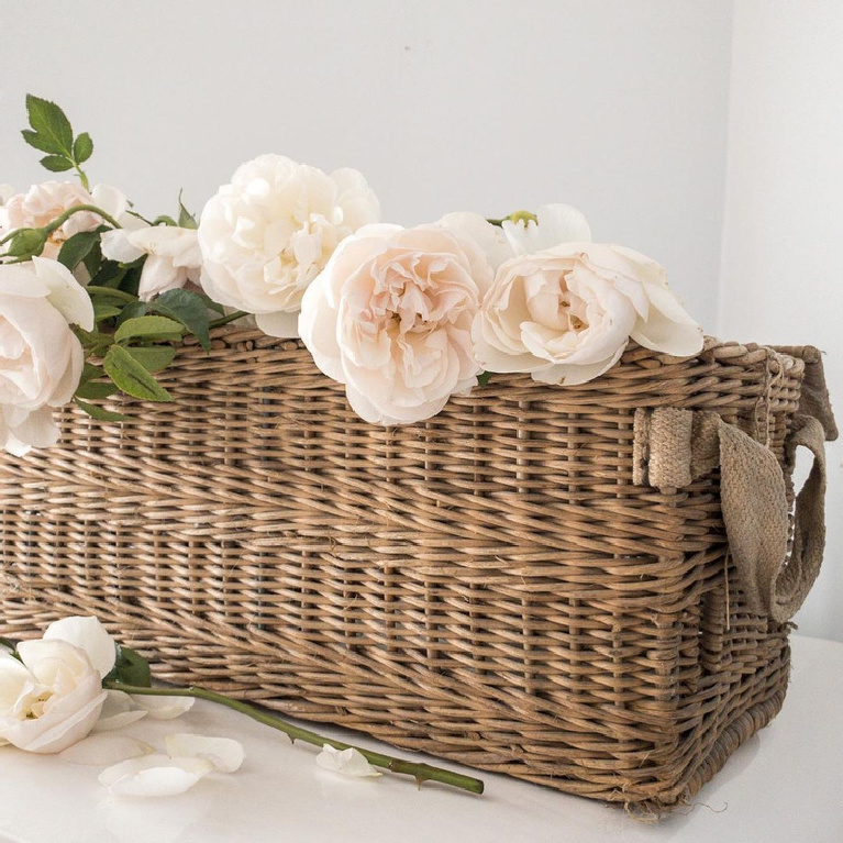 Antique French lidded basket filled with gorgeous pale pink Francis Meilland roses - My Petite Maison