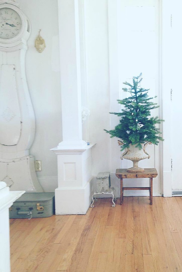 Scandinavian Christmas decor with all white, evergreens, and simple Nordic French charm - My Petite Maison. #christmasdecor #scandinavian #whitechristmas