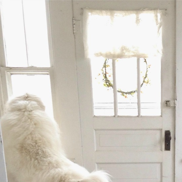 Great Pyrenees gazing out window of beautiful vintage white Nordic French cottage by My Petite Maison.