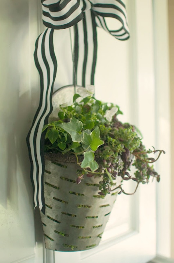 French country simplicity in this hanging olive tin vase with greenery and black and white stripe ribbon - Gwen Moss. #falldecor #frenchcountry #fallgreenery