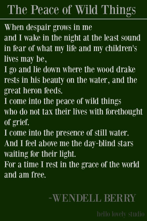 Wendell Berry poem: The Peace of Wild Things (on a dark green ground) - Hello Lovely Studio. #wendellberry #nature #poetry