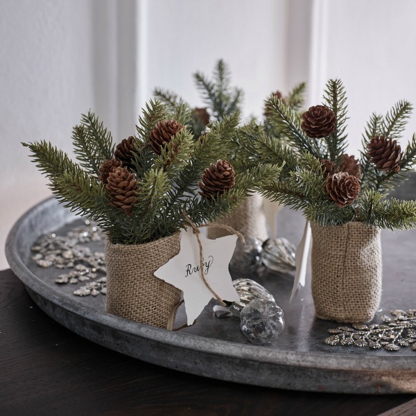 PInecone mini Christmas trees - The White Company London