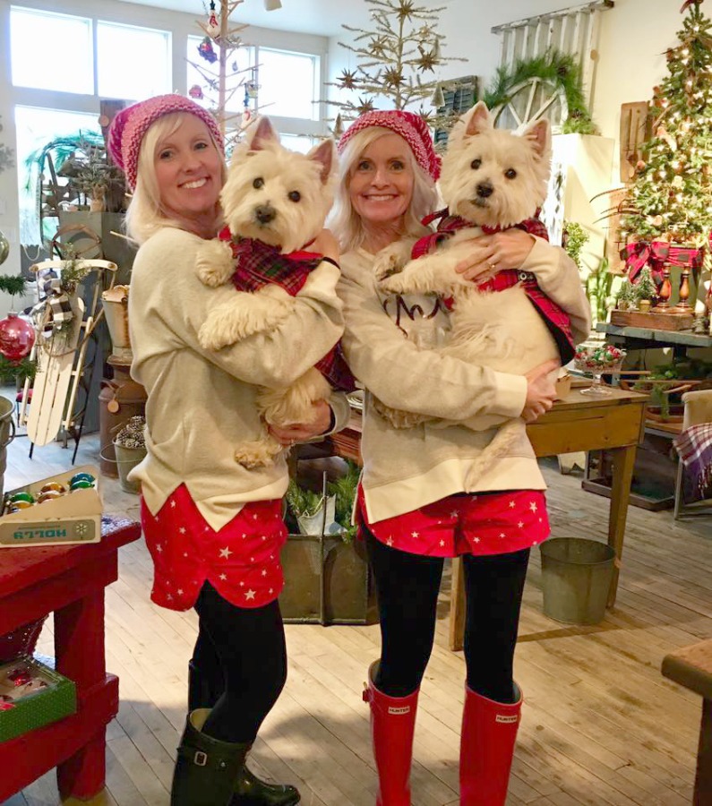 Beautiful West Highland Terriers Westies in sweaters at Trove Vintage! #westies #shopdogs #dogsweater