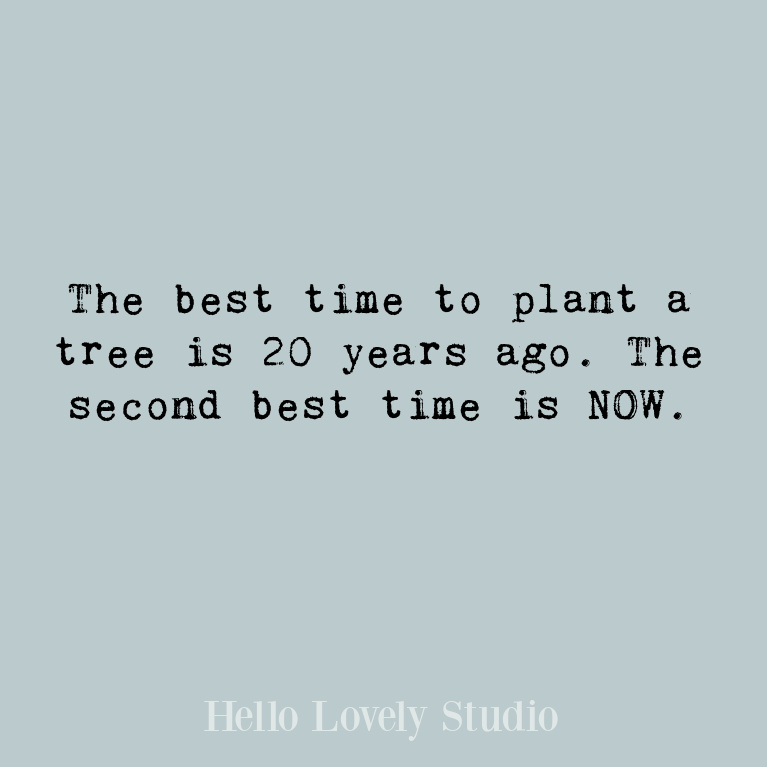 Inspiring New Year quote to promote hope, peace, love, and encouragement in the days ahead - Hello Lovely Studio. #quotes #newyearquotes #encouragementquotes