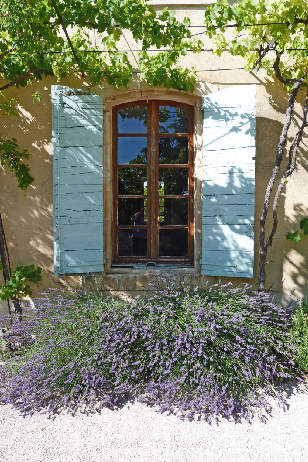 French farmhouse exterior with beautiful green shutters. Come score ideas for a Timeless and Tranquil European Country Inspired Look. #europeancountry #interiordesign #frenchcountry