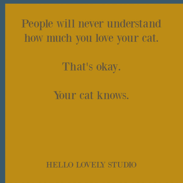 Sweet cat quote for cat lovers. #catquotes #catlovers #catlady