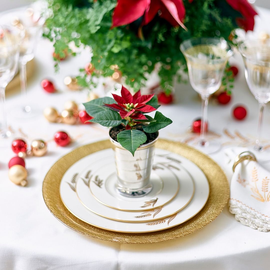 Elegant and sophisticated Christmas placesetting with red and gold by Zeb Grant Design for Atlanta Home for the Holidays Showhouse.