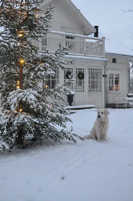 Beautiful exteriors and front doors decorated for Christmas! #christmasdecor #exteriors #outdoordecor #christmas