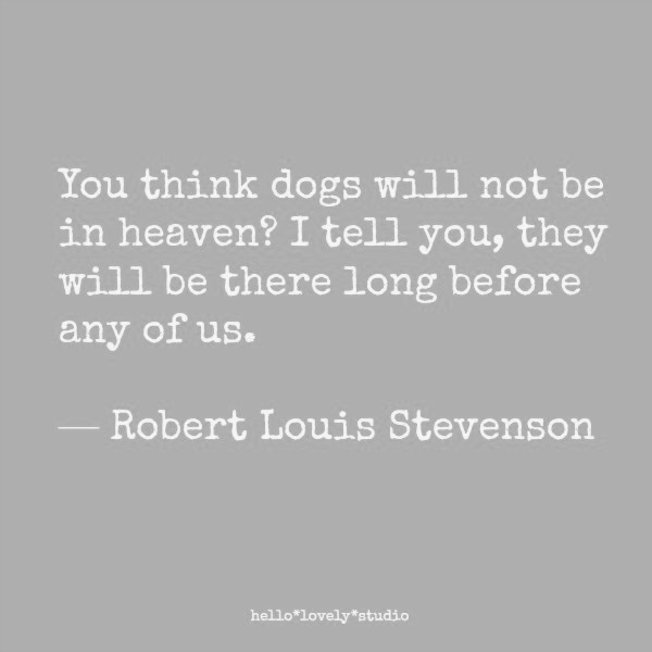 Funny dog quote and pet humor on Hello Lovely Studio. #humorquores #petquote #dogquotes