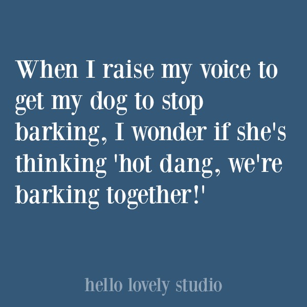 Funny quote about dogs. #hellolovelystudio #dogquote #quotes #humor