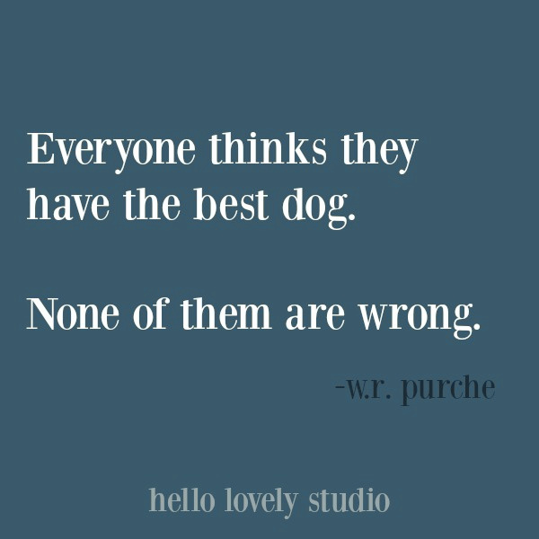 Funny dog quote and pet humor on Hello Lovely Studio. #humorquores #petquote #dogquotes