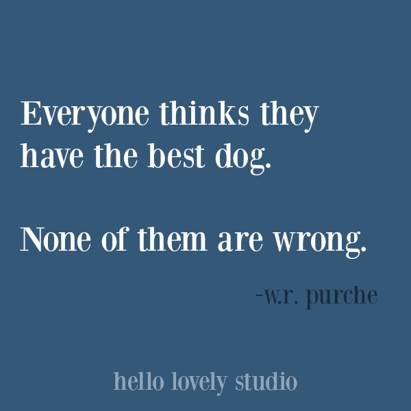 Heartwarming quote about dogs. #hellolovelystudio #dogquote #quotes #dogs