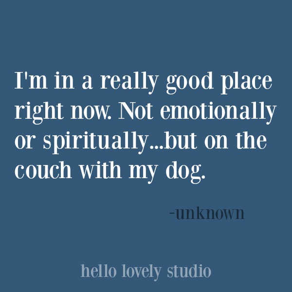 Funny quote about dogs. #hellolovelystudio #dogquote #quotes #humor