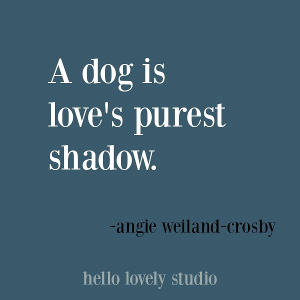 Funny dog quote and pet humor on Hello Lovely Studio. #humorquores #petquote #dogquotes