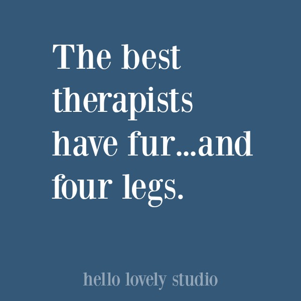 Funny quote about dogs. #hellolovelystudio #dogquote #quotes #humor