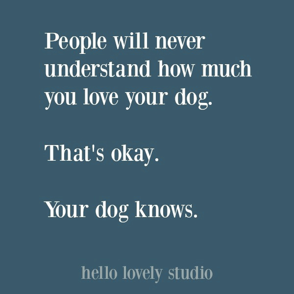 Dog quote about how much you love him or her. #dogquotes #quotes