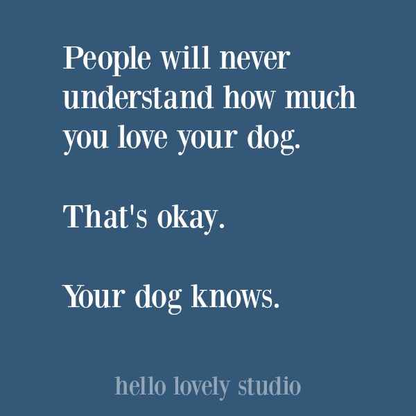 Heartwarming quote about dogs. #hellolovelystudio #dogquote #quotes #dogs