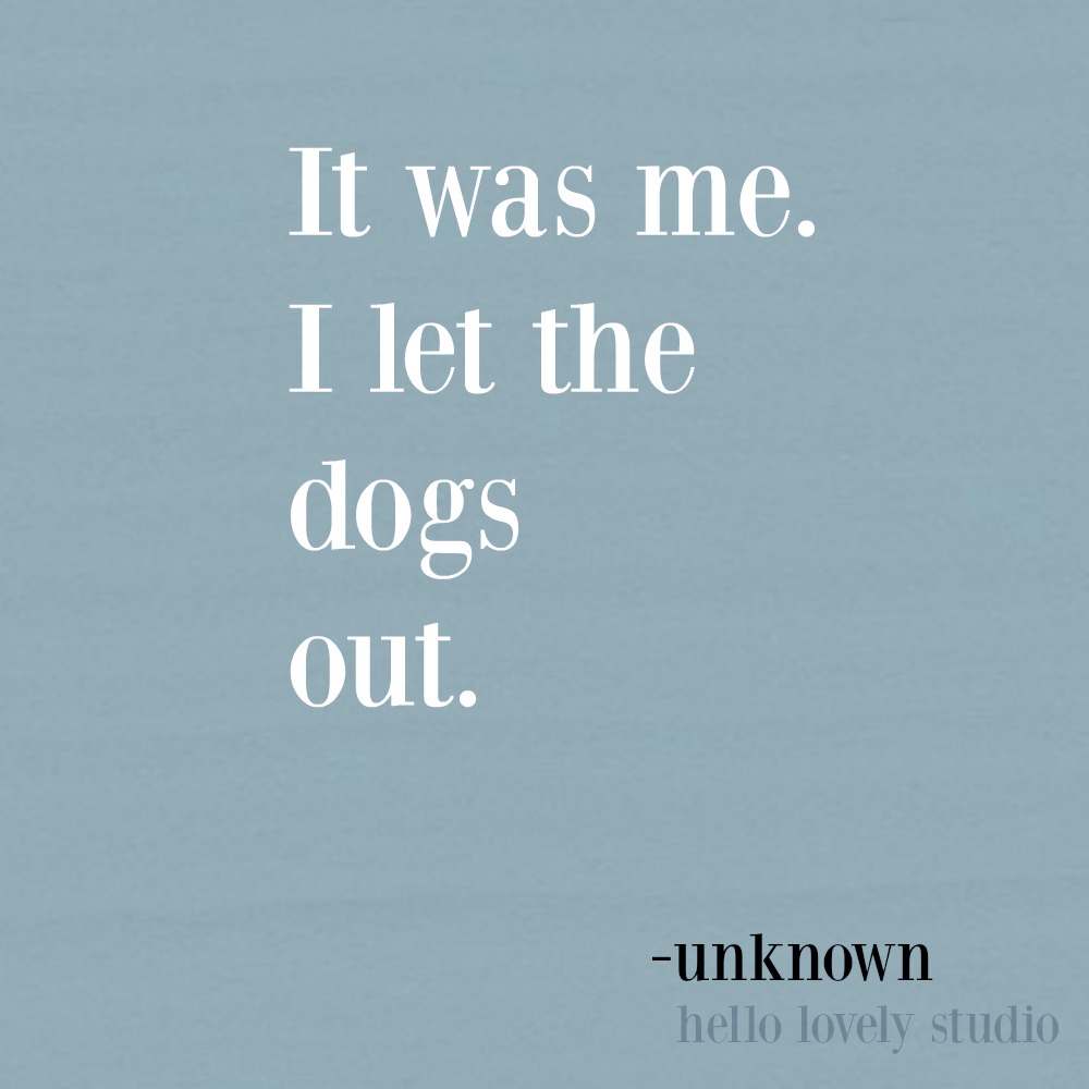 Funny dog quote and pet humor on Hello Lovely Studio. #humorquores #petquote #dogquotes