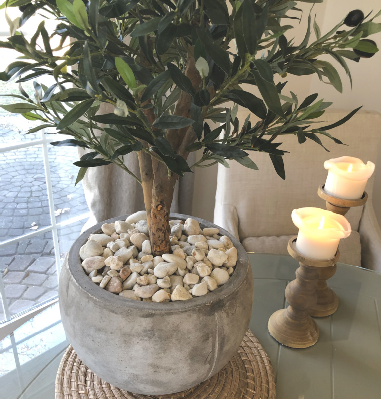 Detail of my olive tree in rustic European inspired pot with white stones - Hello Lovely Studio.