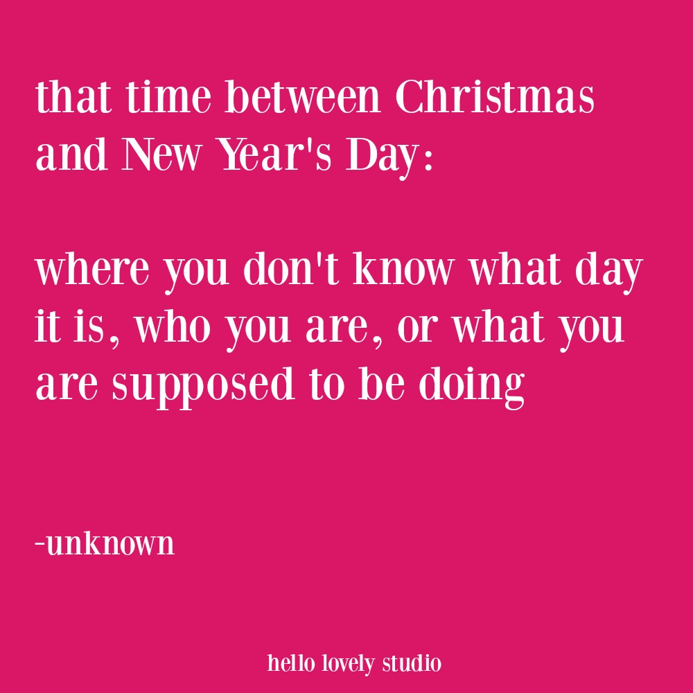 Funny Christmas quote and holiday humor. #holidayhumor #funnyquote #holidays