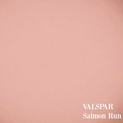Salmon Run by Valspar - a sophisticated pink paint color for interiors. 10 Romantic Tranquil Pink Paint Colors & Pretty Finds!  #paintcolors #pinkpaint #interiordesign #valsparsalmonrun