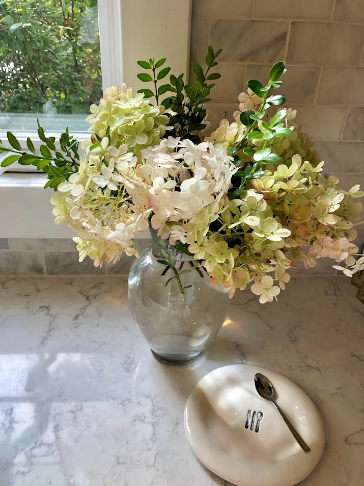 Drying hydrangea blooms on my counter with natural light flooding the vignette - Hello Lovely Studio.