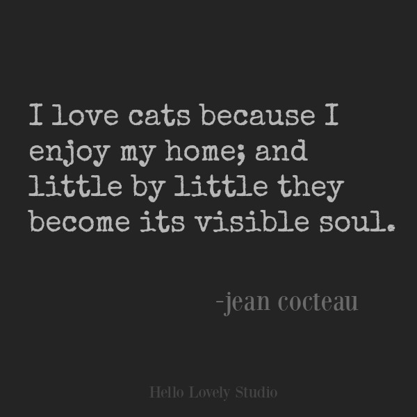 Quote about cats from Jean Cocteau. #inspirationalquote #cats