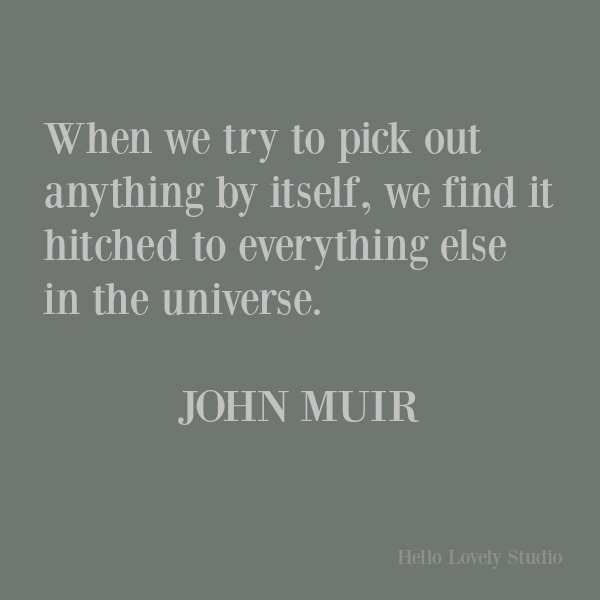 Inspirational quote about nature's beauty and wisdom by John Muir on Hello Lovely Studio. #inspirationalquote #quotes #johnmuir #naturequotes