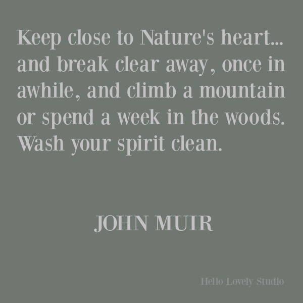 Inspirational quote about nature's beauty and wisdom by John Muir on Hello Lovely Studio. #inspirationalquote #quotes #johnmuir #naturequotes