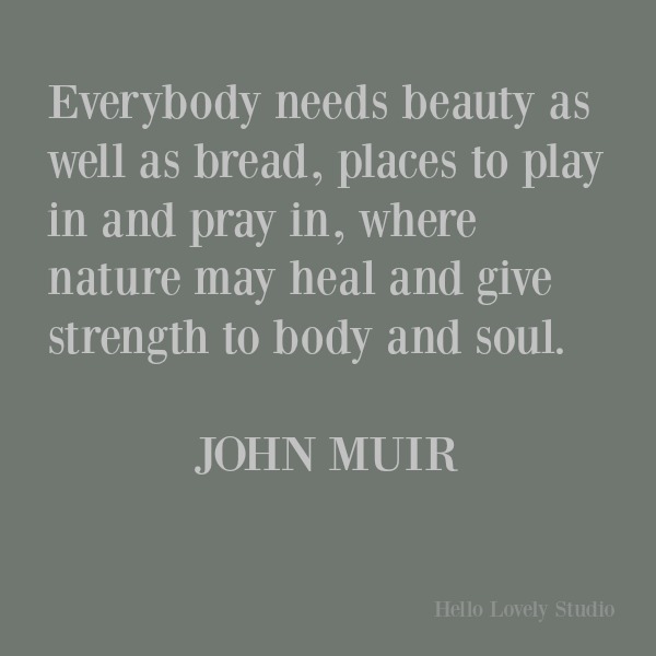 Inspirational quote about nature's beauty and wisdom by John Muir on Hello Lovely Studio. #inspirationalquote #quotes #johnmuir #naturequotes