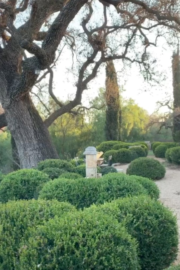 Beautiful French farmhouse style gardens at Patina Farm in Ojai, California with pea gravel and boxwood. #patinafarm #frenchfarmhouse #frenchcourtyard #gardendesign #europeancountry