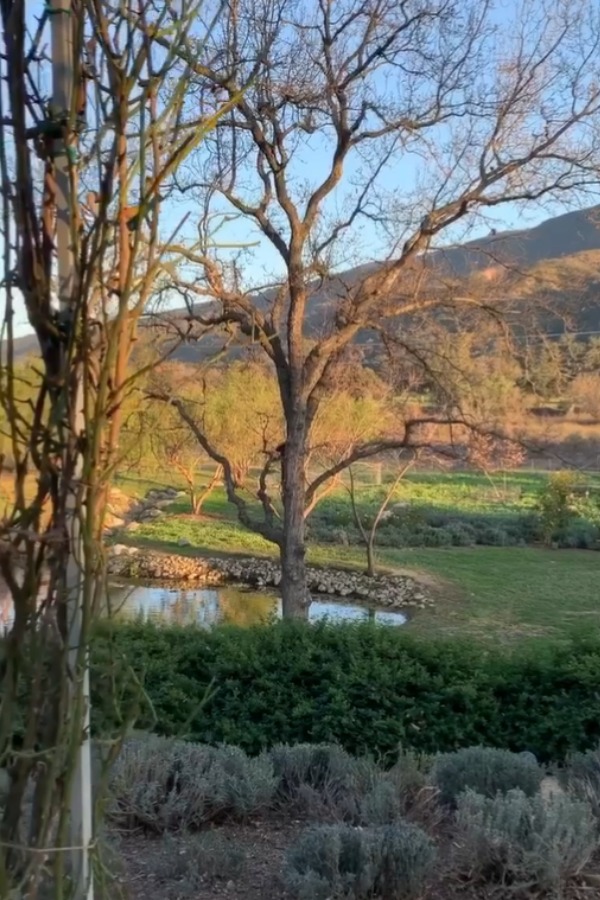 Picturesque pond and mountain view at Patina Farm in Ojai, California, a magnificent European country farmhouse by Giannetti Home. #patinafarm #ojaicalifornia #giannettihome
