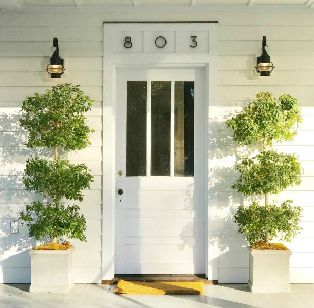 Charming 1880s white cottage front door flanked by simple lanterns and tall topiaries. #frontdoor #cottagestyle #frontporch #housedesign