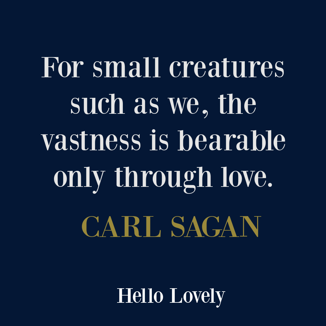 Carl Sagan quote about humanity, love, universe - Hello Lovely Studio. #lovequotes
