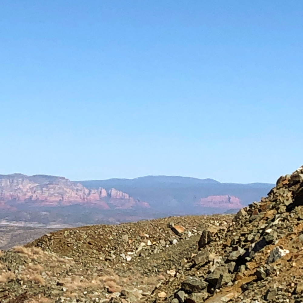 Arizona and Southwest landscape beauty with Saguaro cacti, mountains, and desert plants - Hello Lovely Studio.