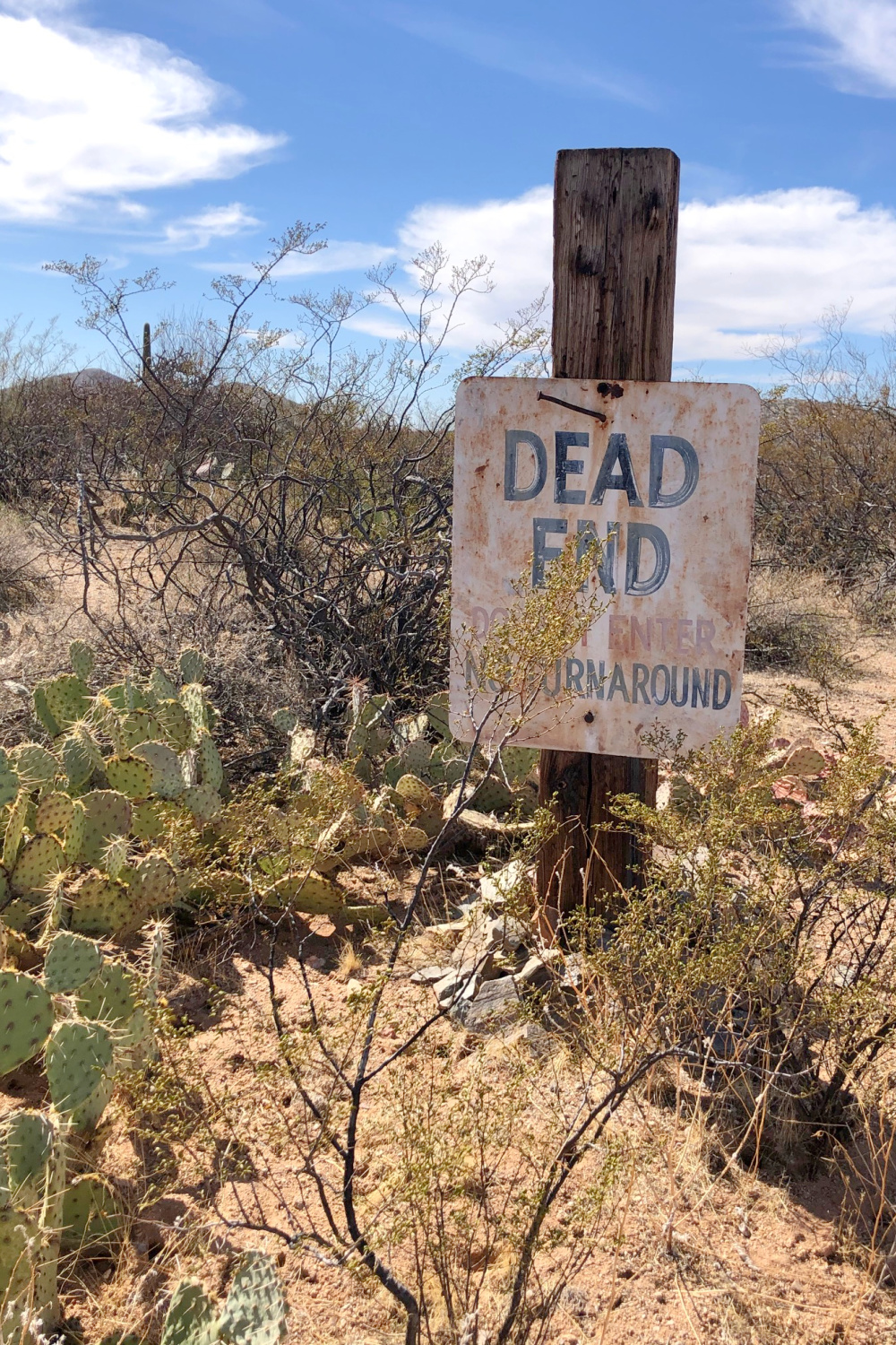 Dead end sign in the desert near Tuscon, Arizona - Hello Lovely Studio.